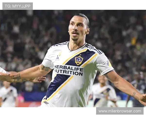 如何正确访问AC米兰官网地址，确保获取官方权威内容与服务信息