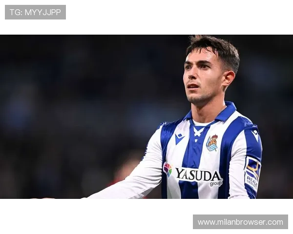 米兰体育地址平台的优势分析：让体育场馆信息查询变得更加高效便捷